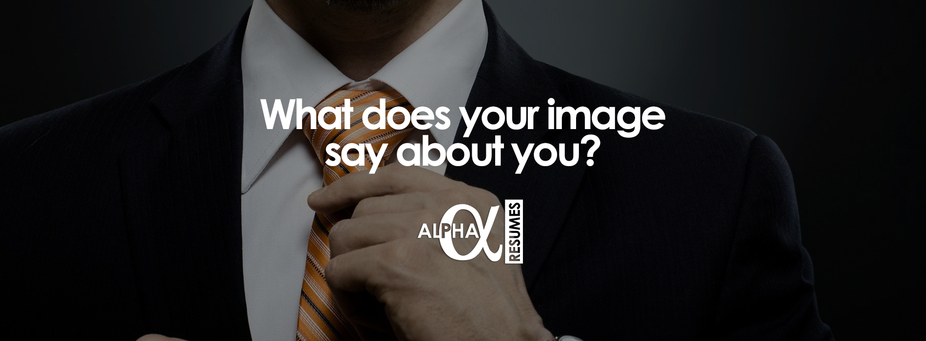 Blog Alpha Resumes style and appearance